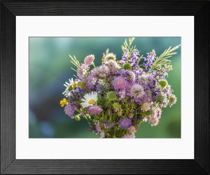 Framed Print : Colorful meadow bouquet, picked in June at Renon in South Tyrol, South Tyrol, Italy Framed Print : Colorful meadow bouquet, picked in June at Renon in South Tyrol, South Tyrol, Italy