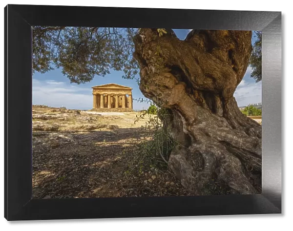 Agrigento, Sicily, Italy. Temple of Concordia in the Valley of the Temples