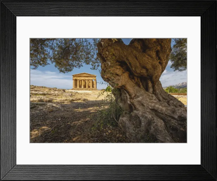 Framed Print : Agrigento, Sicily, Italy. Temple of Concordia in the Valley of the Temples Framed Print : Agrigento, Sicily, Italy. Temple of Concordia in the Valley of the Temples