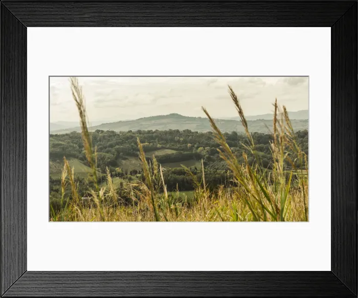 Framed Print : Europe, Italy, the Marches. Landscape near to the Monte San Bartolo Framed Print : Europe, Italy, the Marches. Landscape near to the Monte San Bartolo