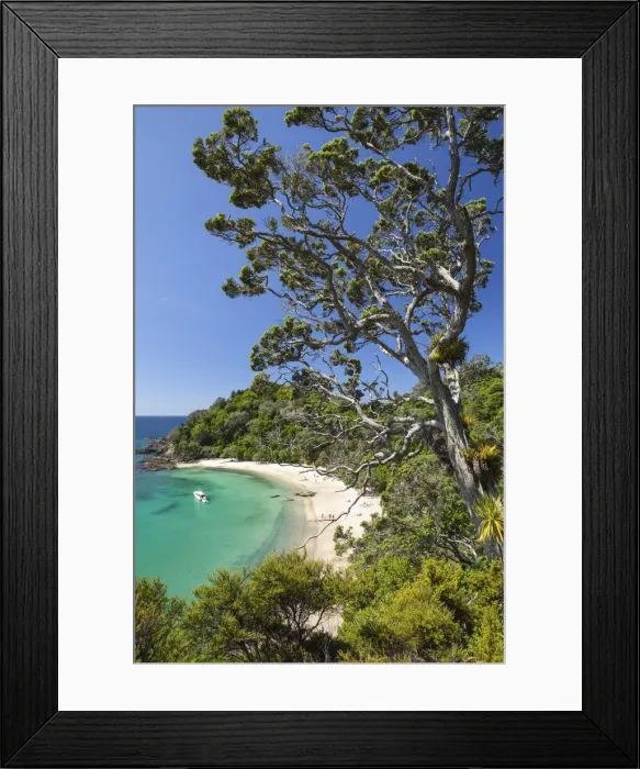 Framed Print : Elevated view over Whale Bay, Tutukaka Coast, Northland, North Island, New Zealand Framed Print : Elevated view over Whale Bay, Tutukaka Coast, Northland, North Island, New Zealand
