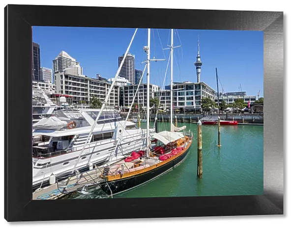 New Zealand, North Island, Auckland harbour