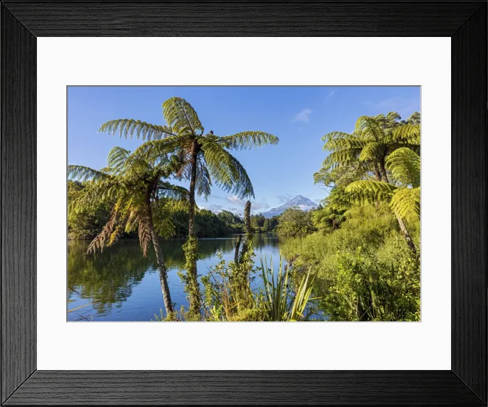 Framed Print : New Zealand, North Island, Lake Mangamahoe, view to Mount Taranaki Framed Print : New Zealand, North Island, Lake Mangamahoe, view to Mount Taranaki