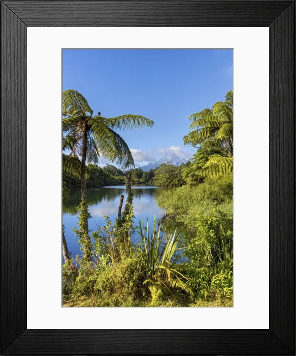 Framed Print : New Zealand, North Island, Lake Mangamahoe, view to Mount Taranaki Framed Print : New Zealand, North Island, Lake Mangamahoe, view to Mount Taranaki