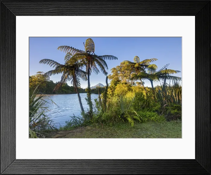 Framed Print : New Zealand, North Island, Lake Mangamahoe, view to Mount Taranaki Framed Print : New Zealand, North Island, Lake Mangamahoe, view to Mount Taranaki