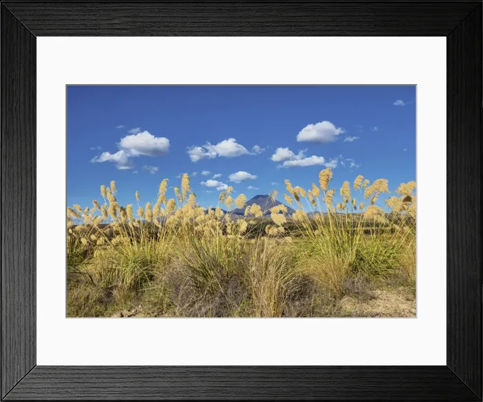 Framed Print : New Zealand, North Island, Tongario National Park Framed Print : New Zealand, North Island, Tongario National Park