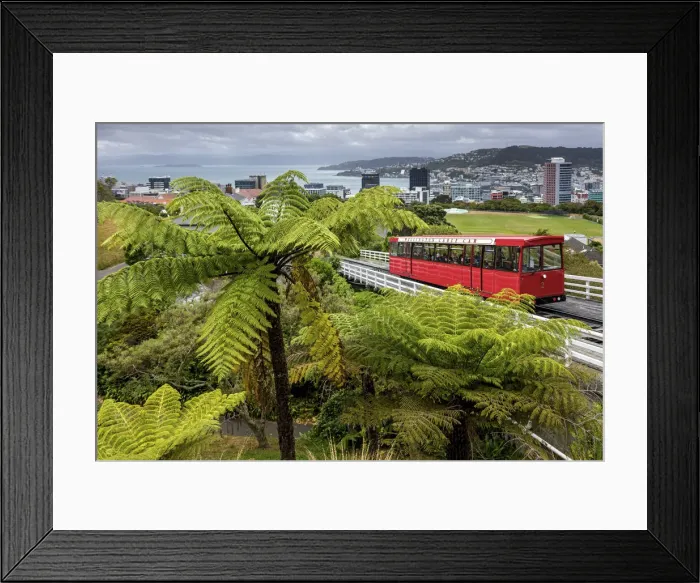 Framed Print : New Zealand, North Island, Wellington, Capital City, Cable Car Framed Print : New Zealand, North Island, Wellington, Capital City, Cable Car