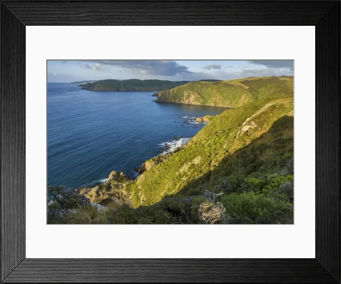 Framed Print : New Zealand, South Island, Catlins Coast Framed Print : New Zealand, South Island, Catlins Coast