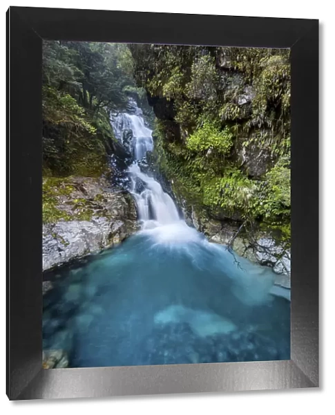 New Zealand, South Island, Fjordland National Park, Falls Creek Waterfall