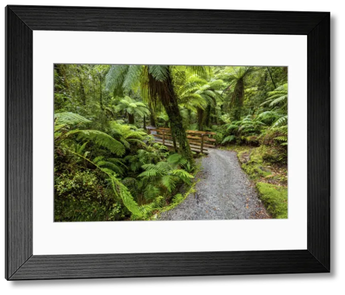 Framed Print : New Zealand, South Island, Hokitika Gorge Trail