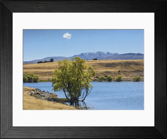 Framed Print : New Zealand, South Island, Lake McGregor Framed Print : New Zealand, South Island, Lake McGregor