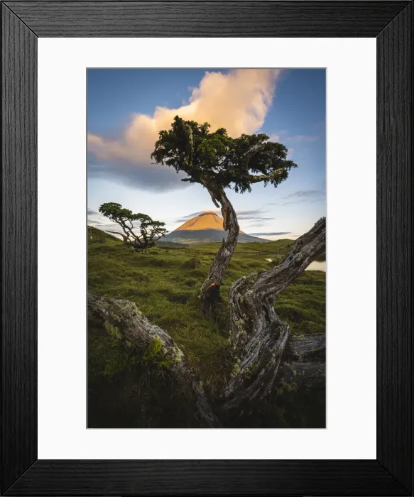Framed Print : Pico island, Azores, Portugal. Mount Pico and surrounding landscape Framed Print : Pico island, Azores, Portugal. Mount Pico and surrounding landscape