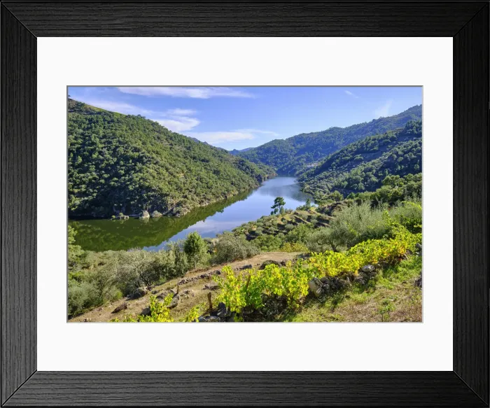 Framed Print : The Tua river at Amieiro in Autumn. Vale do Tua Regional Nature Park, Alijo. Tras os Montes, Portugal Framed Print : The Tua river at Amieiro in Autumn. Vale do Tua Regional Nature Park, Alijo. Tras os Montes, Portugal