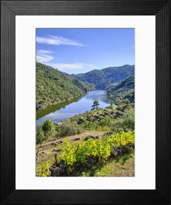 Framed Print : The Tua river at Amieiro in Autumn. Vale do Tua Regional Nature Park, Alijo. Tras os Montes, Portugal Framed Print : The Tua river at Amieiro in Autumn. Vale do Tua Regional Nature Park, Alijo. Tras os Montes, Portugal