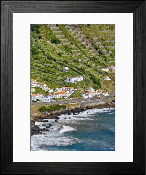 Framed Print : Sao Lourenco Bay (Baia de Sao Lourenco) with terraced vineyards facing the sea Framed Print : Sao Lourenco Bay (Baia de Sao Lourenco) with terraced vineyards facing the sea