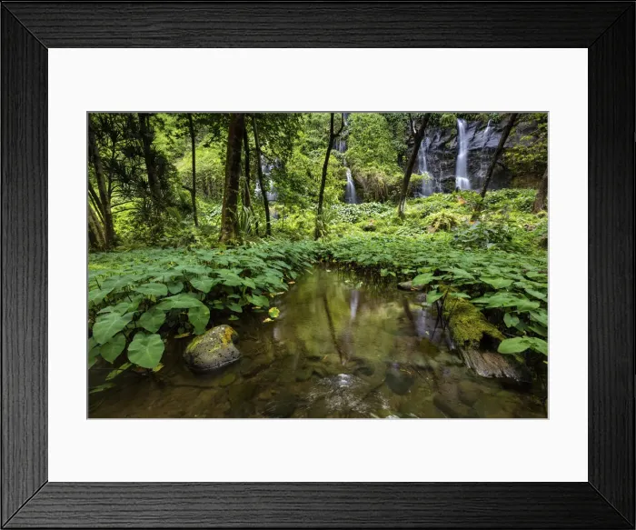 Framed Print : French Overseas Territory, La Reunion, Anse des Cascades Framed Print : French Overseas Territory, La Reunion, Anse des Cascades