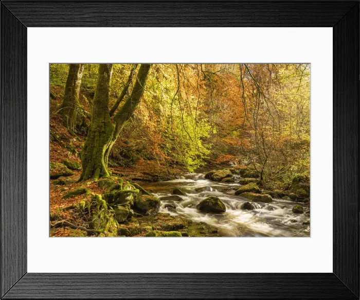 Framed Print : Moness Burn in Autumn, Birks of Aberfeldy, Perthshire Region, Scotland Framed Print : Moness Burn in Autumn, Birks of Aberfeldy, Perthshire Region, Scotland