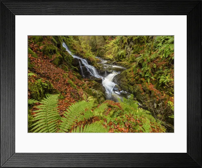 Framed Print : Moness Burn in Autumn, Birks of Aberfeldy, Perthshire Region, Scotland