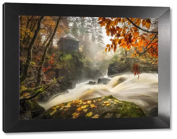 Black Lin Falls in autumn, The Hermitage, Dunkeld, Perthshire, Scotland, UK