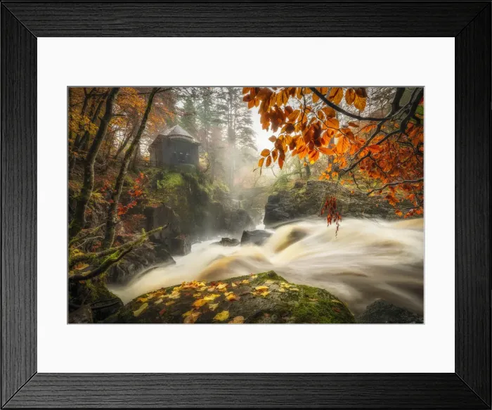 Framed Print : Black Lin Falls in autumn, The Hermitage, Dunkeld, Perthshire, Scotland, UK Framed Print : Black Lin Falls in autumn, The Hermitage, Dunkeld, Perthshire, Scotland, UK