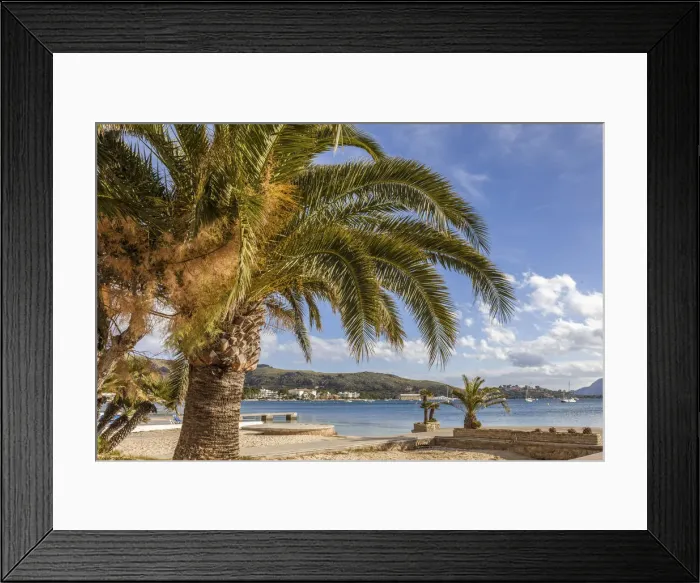 Framed Print : Beach promenade in Port de Pollenca, Mallorca, Spain Framed Print : Beach promenade in Port de Pollenca, Mallorca, Spain