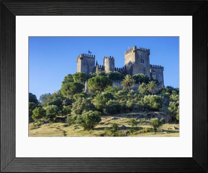 Framed Print : Spain, Andalusia, Almodovar del Rio castle