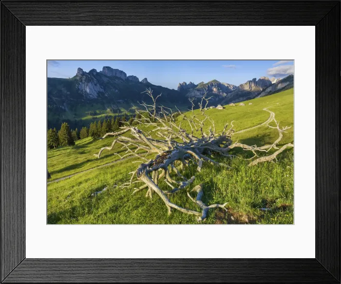 Framed Print : Switzerland, Canton Appenzell, Alpstein, Alp Sigel Framed Print : Switzerland, Canton Appenzell, Alpstein, Alp Sigel