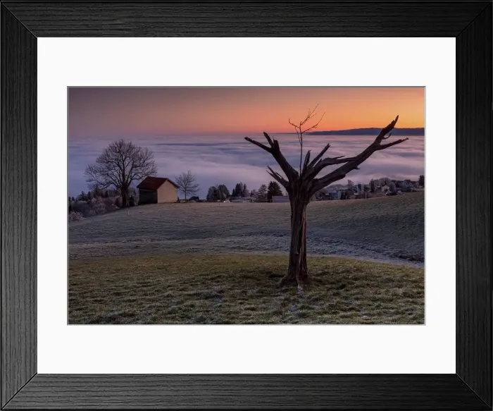 Framed Print : Switzerland, Canton Appenzell, view from Schwarzenegg, morning light Framed Print : Switzerland, Canton Appenzell, view from Schwarzenegg, morning light
