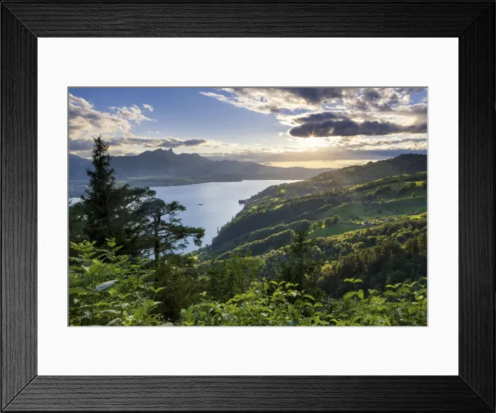 Framed Print : Switzerland, Berner Oberland, Lake Thun Framed Print : Switzerland, Berner Oberland, Lake Thun