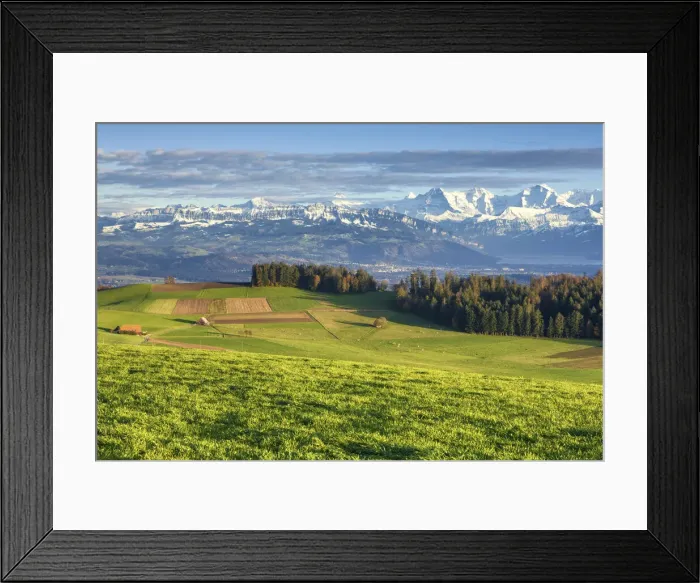Framed Print : Switzerland, Berner Oberland, View from Butschelegg Framed Print : Switzerland, Berner Oberland, View from Butschelegg