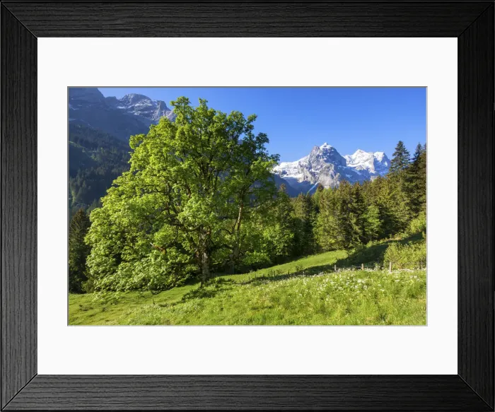 Framed Print : Switzerland, Berner Oberland, Rosenlaui valley Framed Print : Switzerland, Berner Oberland, Rosenlaui valley