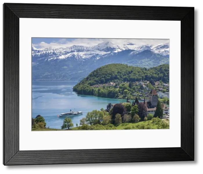 Framed Print : Switzerland, Berner Oberland, Spiez town, Lake Thun Framed Print : Switzerland, Berner Oberland, Spiez town, Lake Thun