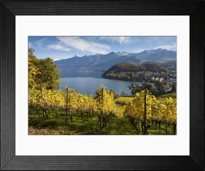 Framed Print : Switzerland, Berner Oberland, Spiez town, Lake Thun Framed Print : Switzerland, Berner Oberland, Spiez town, Lake Thun