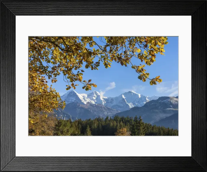 Framed Print : Switzerland, Berner Oberland, Beatenberg, Eiger, Monch, Jungfrau Framed Print : Switzerland, Berner Oberland, Beatenberg, Eiger, Monch, Jungfrau