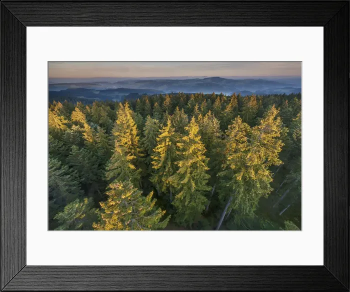 Framed Print : Switzerland, Berner Oberland, Emmental, Chuderhusi forest Framed Print : Switzerland, Berner Oberland, Emmental, Chuderhusi forest