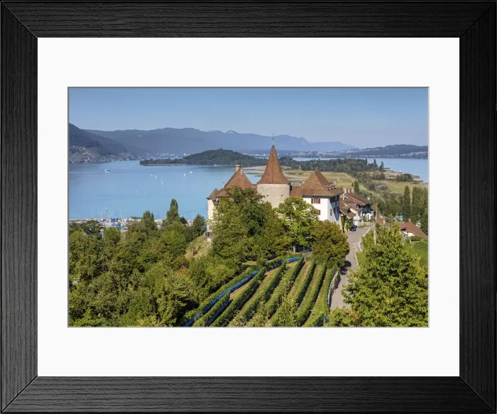 Framed Print : Switzerland, Berner Oberland, Erlach village, Erlach castle, Lake Biel Framed Print : Switzerland, Berner Oberland, Erlach village, Erlach castle, Lake Biel