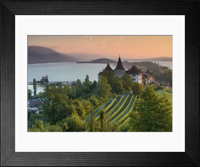 Framed Print : Switzerland, Berner Oberland, Erlach village, Erlach castle, Lake Biel Framed Print : Switzerland, Berner Oberland, Erlach village, Erlach castle, Lake Biel