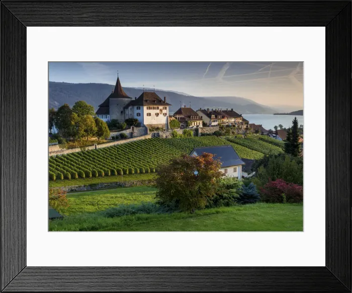 Framed Print : Switzerland, Berner Oberland, Erlach village, Erlach castle, Lake Biel Framed Print : Switzerland, Berner Oberland, Erlach village, Erlach castle, Lake Biel