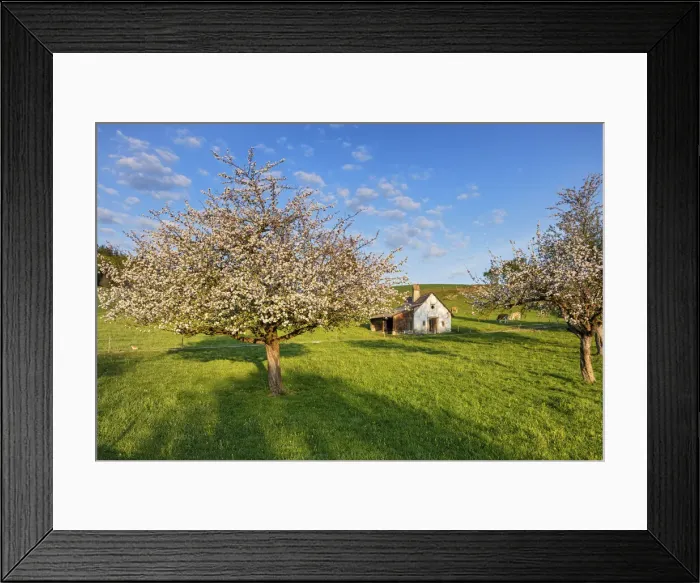 Framed Print : Switzerland, Berner Oberland, Riggisberg village Framed Print : Switzerland, Berner Oberland, Riggisberg village