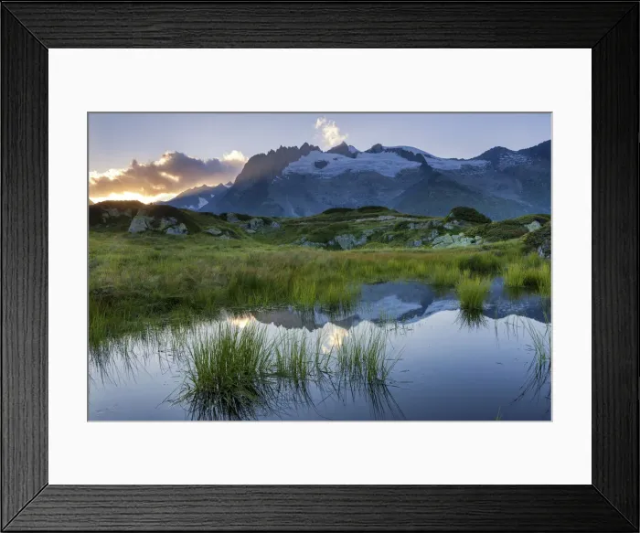 Framed Print : Switzerland, Canton of Valais, Alp Moosfluh, near Aletsch glacier Framed Print : Switzerland, Canton of Valais, Alp Moosfluh, near Aletsch glacier