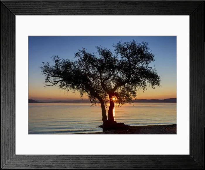 Framed Print : Switzerland, Canton of Vaud, Murten lake, sunrise, tree near Salavaux village Framed Print : Switzerland, Canton of Vaud, Murten lake, sunrise, tree near Salavaux village