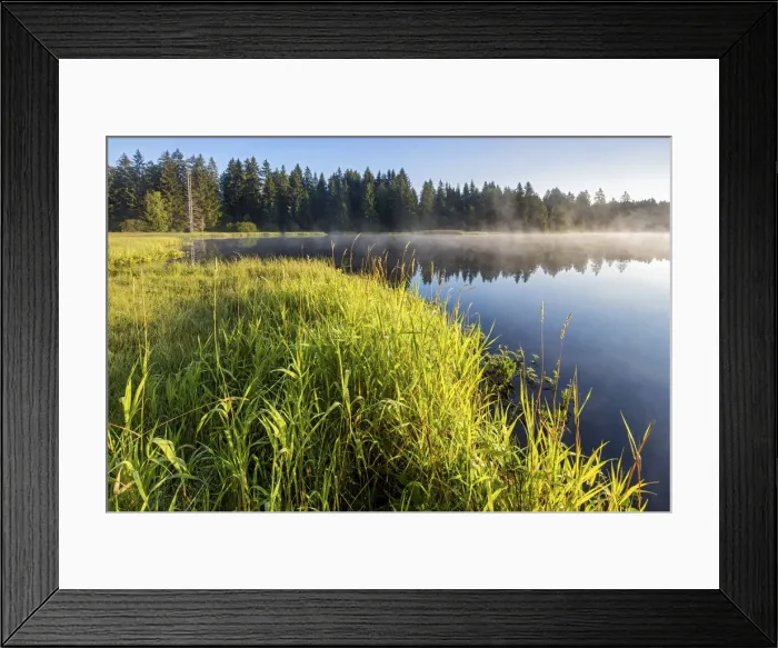 Framed Print : Switzerland, Canton of Jura, Etang de la Gruere, Moor pond, Natural park Framed Print : Switzerland, Canton of Jura, Etang de la Gruere, Moor pond, Natural park
