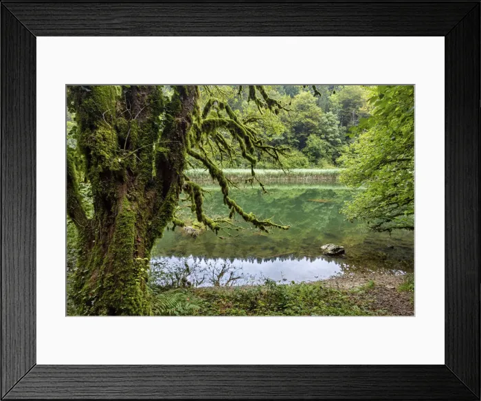 Framed Print : Switzerland, Canton of Jura, Doubs river