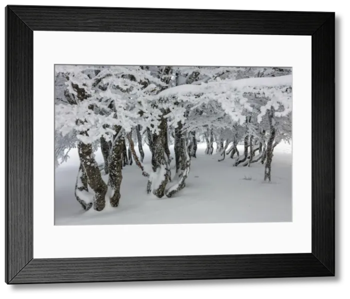 Framed Print : Switzerland, Canton of Neuchatel, Le Soliat plateau Framed Print : Switzerland, Canton of Neuchatel, Le Soliat plateau