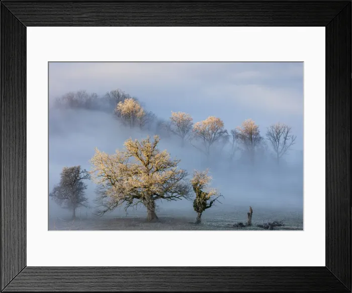 Framed Print : Switzerland, Canton of Solothurn, Roggen hill Framed Print : Switzerland, Canton of Solothurn, Roggen hill