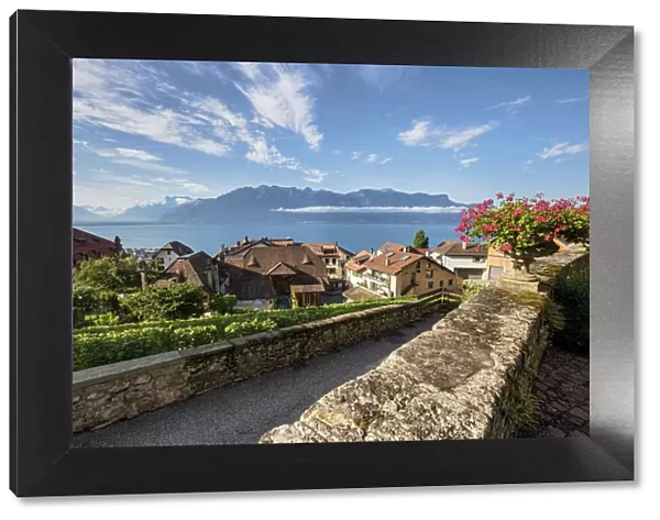 Switzerland, Canton of Vaud, Lake Geneva, Lavaux landscape, Chardonne village