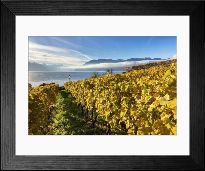 Framed Print : Switzerland, Canton of Vaud, Lake Geneva, Lavaux UNESCO world heritage site Framed Print : Switzerland, Canton of Vaud, Lake Geneva, Lavaux UNESCO world heritage site