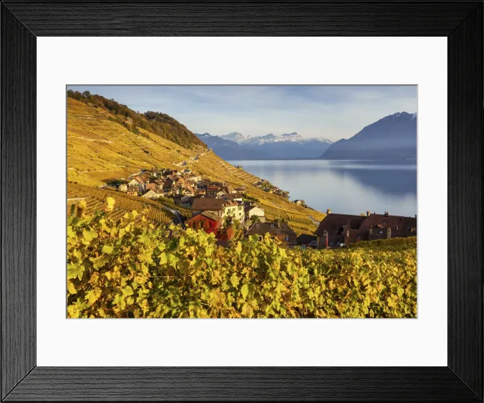 Framed Print : Switzerland, Canton of Vaud, Lake Geneva, Lavaux UNESCO world heritage site Framed Print : Switzerland, Canton of Vaud, Lake Geneva, Lavaux UNESCO world heritage site