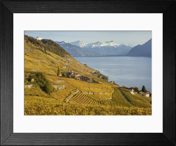 Framed Print : Switzerland, Canton of Vaud, Lake Geneva, Lavaux UNESCO world heritage site Framed Print : Switzerland, Canton of Vaud, Lake Geneva, Lavaux UNESCO world heritage site