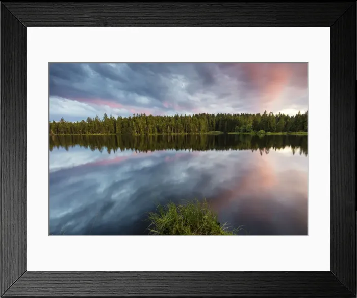 Framed Print : Switzerland, Canton of Jura, Etang de la Gruere, Moor pond, Natural park Framed Print : Switzerland, Canton of Jura, Etang de la Gruere, Moor pond, Natural park